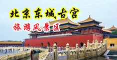 操逼视频免费看喷水中国北京-东城古宫旅游风景区